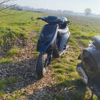 smembro piaggio typhoon 