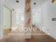 Immagine 14