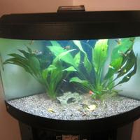 ACQUARIO ACQUA DOLCE