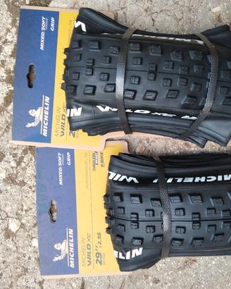 coppia copertoni MTB 29 michelin