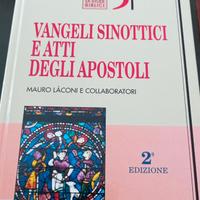 Vangeli sinottici ed atti degli apostoli vol. 5