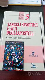 Vangeli sinottici ed atti degli apostoli vol. 5
