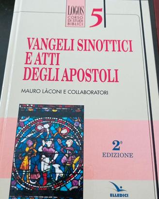 Vangeli sinottici ed atti degli apostoli vol. 5