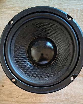 Woofer Master Audio MA16W/8