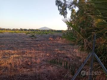 Alghero :terreno agricolo