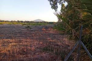 Alghero :terreno agricolo