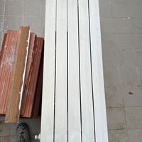 Termosifone in ghisa