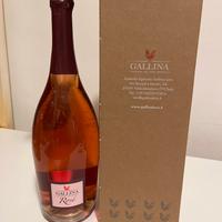 Bottiglie di Vino Azienda agricola Gallina