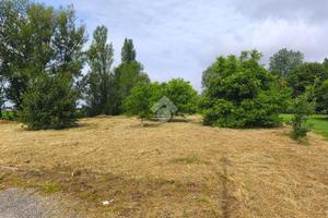 TER. AGRICOLO A SALA BOLOGNESE