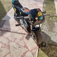 Minimoto elettrica Viper