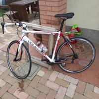 Bici da corsa Colnago Arte 2.0