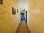 Immagine 18
