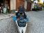 Immagine 2