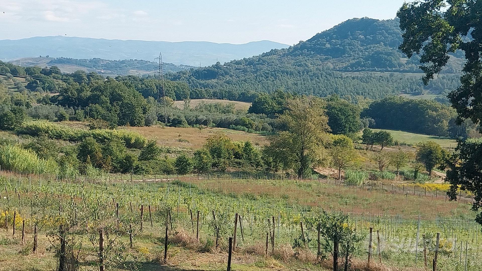 Terreno Agricolo - Altro