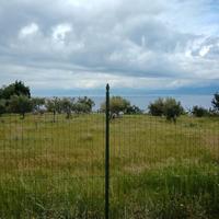 Terreno agricolo