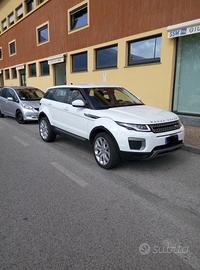 Rangerover Evoque