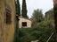 Immagine 8