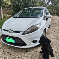 Ford Fiesta 1.4 TDCi 70 CV Trend – VI serie