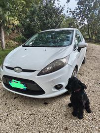 Ford Fiesta 1.4 TDCi 70 CV Trend – VI serie