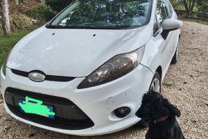Ford Fiesta 1.4 TDCi 70 CV Trend – VI serie