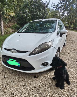 Ford Fiesta 1.4 TDCi 70 CV Trend – VI serie