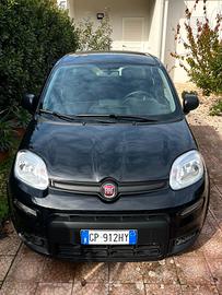 fiat panda Hybrid 1000 benzina elettrica 