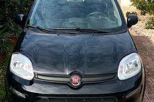 fiat panda Hybrid 1000 benzina elettrica 