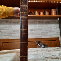 Libro SACRA BIBBIA ANTICA anno 1881