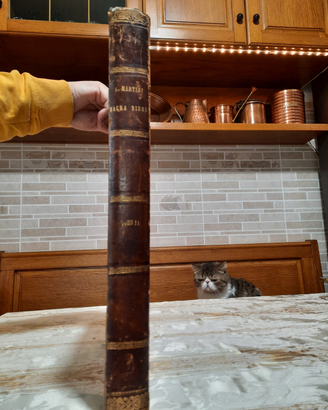 Libro SACRA BIBBIA ANTICA anno 1881