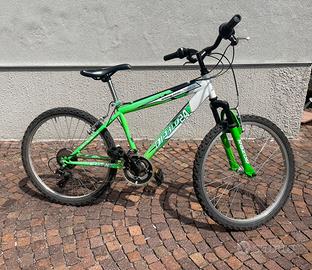 Bici mountainbike