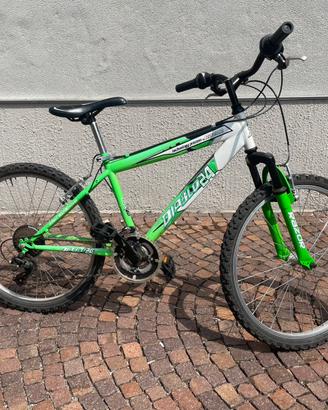 Bici mountainbike