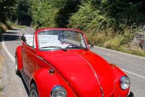 Volkswagen Maggiolone 1303-Cabrio