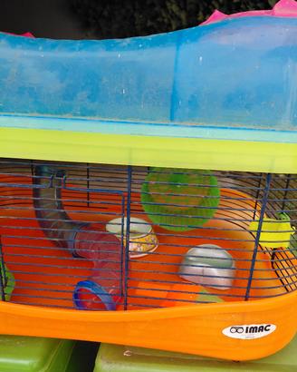 gabbia criceto piccoli roditori