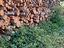 Immagine 2