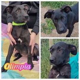 Sorelline a fratellini mix colorati