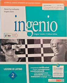 Libro Ciuffarella, Diotti | Ingenio | Come nuovo