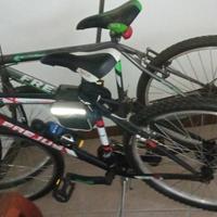 Biciclette da passeggio