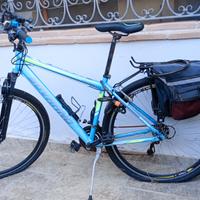 Bici 29 
