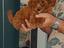 Immagine 7