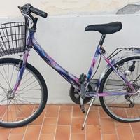 bicicletta