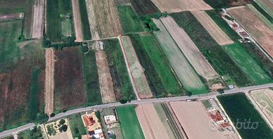 TER. AGRICOLO A AVEZZANO