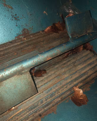 Pigiatore d’uva manuale