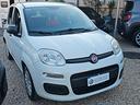 fiat-panda-1-2-easy
