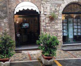 LOCALE COMMERCIALE FINEMENTE RISTRUTTURATO AL PIAN