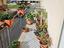 Immagine 18