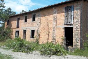 Rustico con terreno agricolo