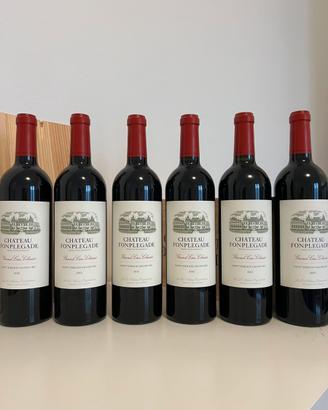Cassa da sei Chateau Fonplegade