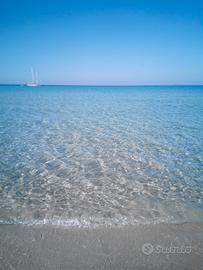 Vuoi trascorrere le tue vacanze in Sardegna?