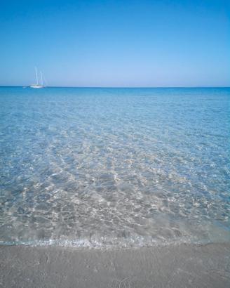 Vuoi trascorrere le tue vacanze in Sardegna?