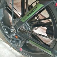 bicicletta elettrica 